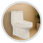 Single Piece WC
