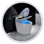 Electronic Wc